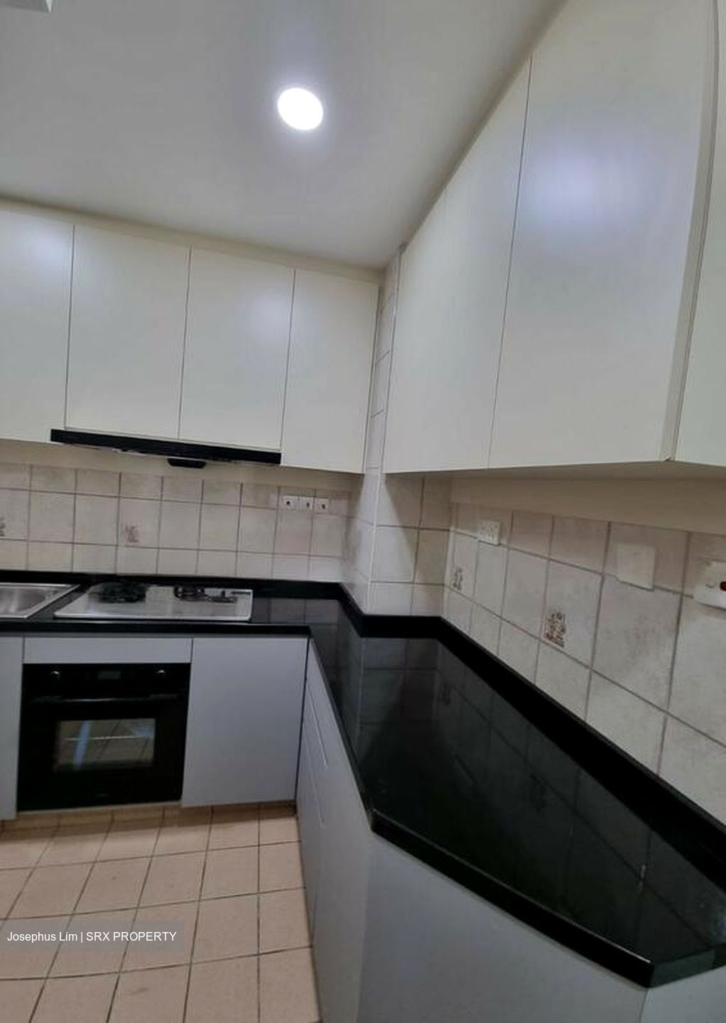 Hillview Park (D23), Condominium #580383041